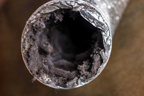 Best HVAC Duct Inspection Services  in Ball Ground, GA